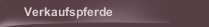 Verkaufspferde